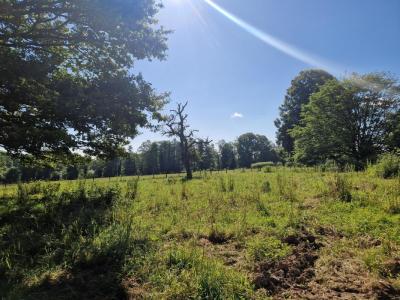 For sale Novillard 120 m2 Belfort (90340) photo 2