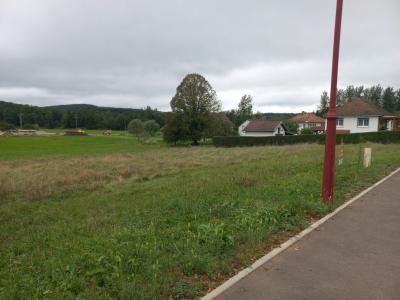 Annonce Vente Terrain Luze 70