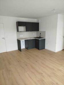 Louer Appartement 40 m2 Tours
