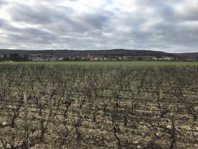 For rent Marsannay-la-cote 4 rooms 102 m2 Cote d'or (21160) photo 4