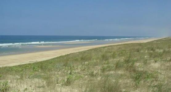 For sale Seignosse 4 rooms 140 m2 Landes (40510) photo 3