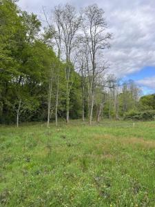 For sale Louchats 4 rooms 85 m2 Gironde (33125) photo 3