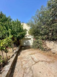 For sale Porto-vecchio 16 m2 Corse (20137) photo 1