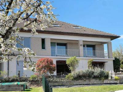 Acheter Maison 259 m2 Reichshoffen