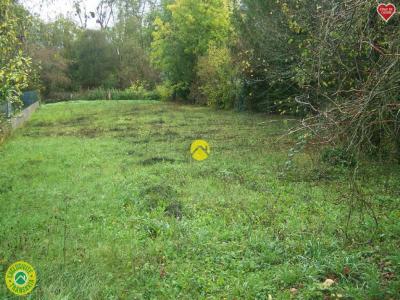 Acheter Maison Saint-florent-sur-cher Cher