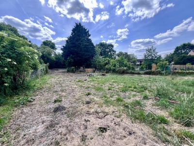 Annonce Vente Terrain Ligny-le-ribault 45