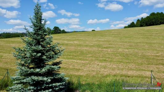 For sale Ban-de-laveline 6 rooms 132 m2 Vosges (88520) photo 1