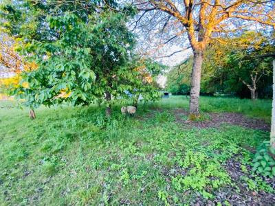 Acheter Terrain 1500 m2 Besancon