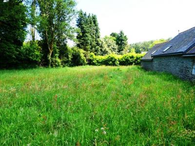 For sale Lignol 4 rooms 90 m2 Morbihan (56160) photo 4