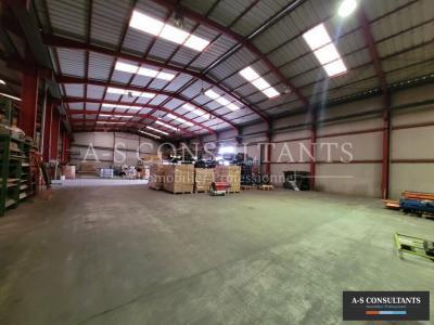Louer Commerce 4000 m2 Albon