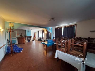 Acheter Immeuble Neuville-lez-beaulieu 250000 euros