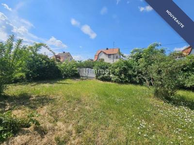 Annonce Vente 4 pices Maison Ensisheim 68