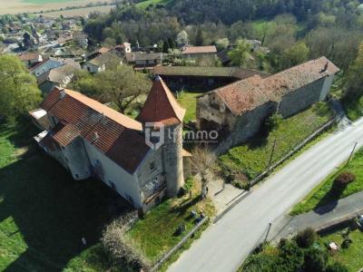 Annonce Vente Prestige Thodure 38