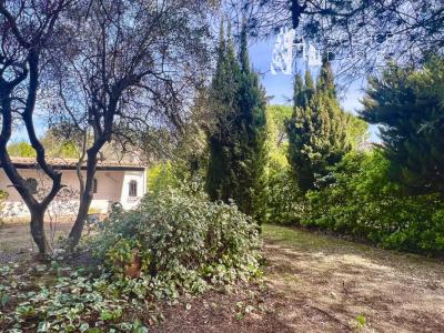 For sale Arles 3575 m2 Bouches du Rhone (13200) photo 1