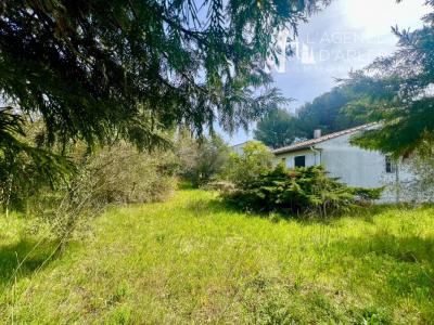 For sale Arles 3575 m2 Bouches du Rhone (13200) photo 3