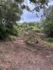 For sale Land Pietrosella 5556 m2