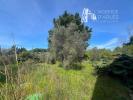 For sale Land Arles 3575 m2