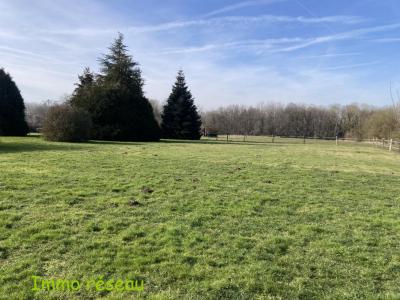 Acheter Maison 380 m2 Rebais
