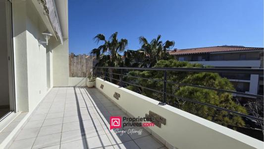 Annonce Vente 2 pices Appartement Marseille-8eme-arrondissement 13