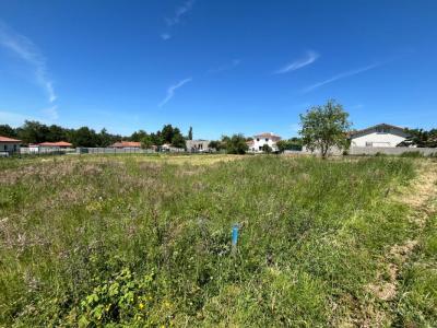 Annonce Vente Terrain Poncins 42