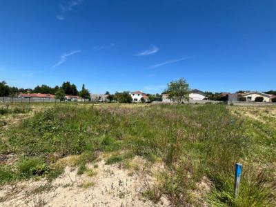 Annonce Vente Terrain Poncins 42