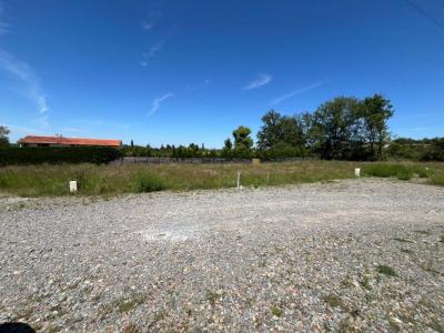 Annonce Vente Terrain Poncins 42