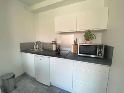 Annonce Location 2 pices Appartement Lille 59