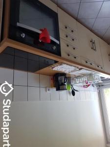 Annonce Location Appartement Lille 59