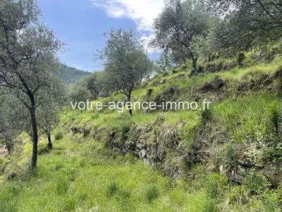 Annonce Vente Terrain Coaraze 06
