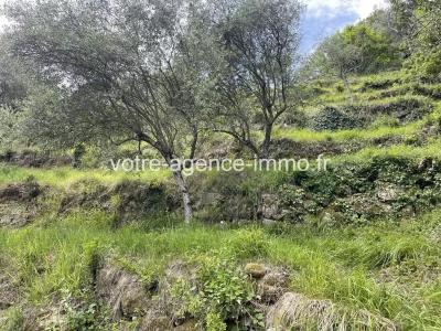 Acheter Terrain Coaraze Alpes Maritimes