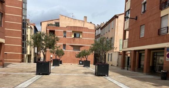 For sale LA RAL CENTRE VILLE 2 rooms 36 m2 Pyrenees orientales (66000) photo 1