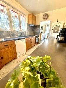 Acheter Maison Suippes 227000 euros