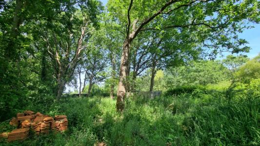 Annonce Vente Terrain Olonne-sur-mer 85