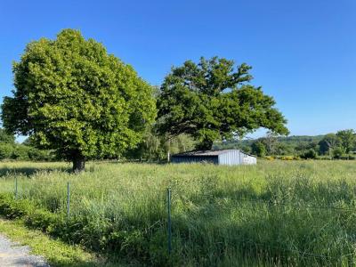 Acheter Maison Champillet 134000 euros