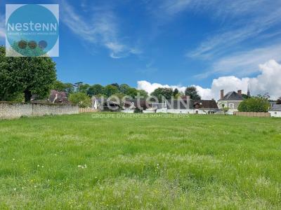 For sale Chitenay 1200 m2 Loir et cher (41120) photo 2