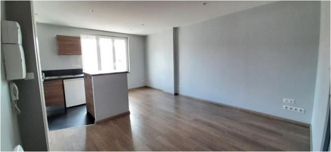Annonce Location 2 pices Appartement Toulouse 31