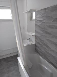 Louer Appartement Nogent-sur-seine 418 euros