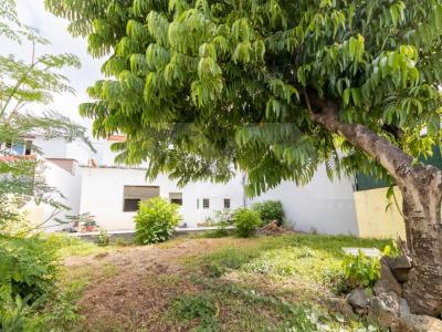 Annonce Vente 4 pices Maison Saint-joseph 974