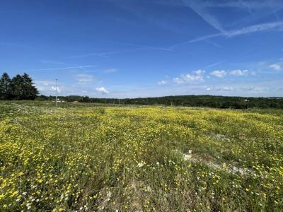 For sale Feytiat 1267 m2 Haute vienne (87220) photo 0