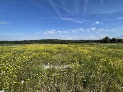 For sale Feytiat 1267 m2 Haute vienne (87220) photo 2