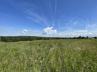 For sale Feytiat 1267 m2 Haute vienne (87220) photo 3