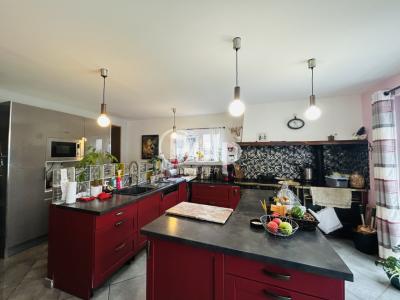 Acheter Maison 220 m2 Palluel