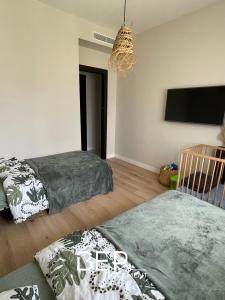 Louer Appartement Nice Alpes Maritimes