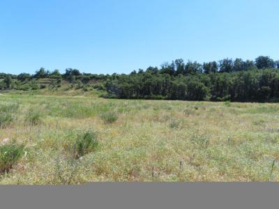 For sale Drome (26800) photo 2