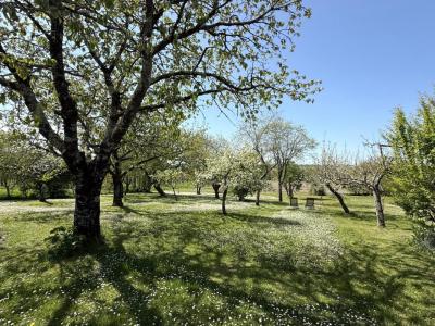 Acheter Maison Nanteuil-auriac-de-bourzac Dordogne