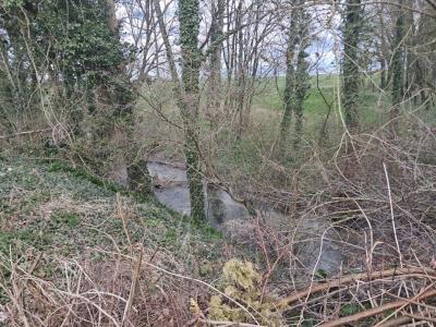 For sale Dampierre-au-temple 807 m2 Marne (51400) photo 2