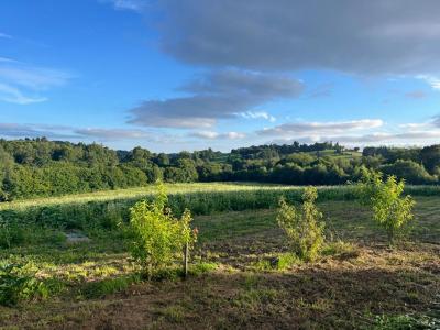 For sale Gourin 5 rooms 150 m2 Morbihan (56110) photo 1