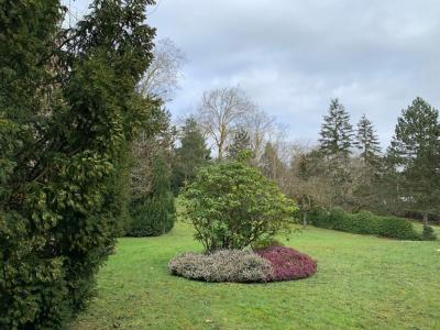 Annonce Vente 6 pices Maison Louveciennes 78