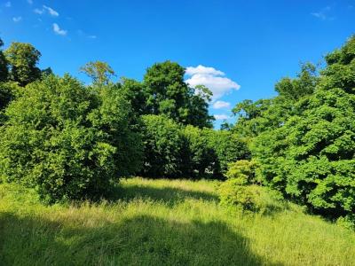 Annonce Vente Terrain Sainte-solange 18