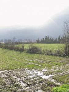 For sale Aigrefeuille-d'aunis 500 m2 Charente maritime (17290) photo 0